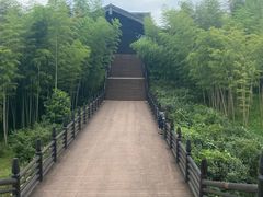 -大唐贡茶院