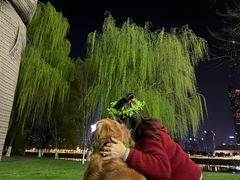 -南京眼步行桥