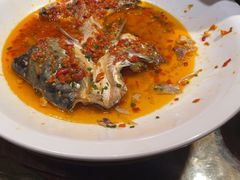 -印象鲵宴·张家界地标美食名片(溪布街店)