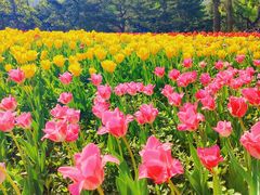 -国家植物园