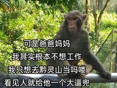 -黔灵山公园