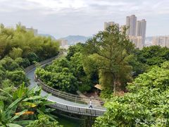 -崇光百货(尖沙咀店)