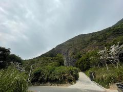 -梧桐山风景名胜区