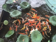-火福·天湖阁大闸蟹博物馆主题餐厅(浅水湾店)