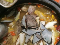-菌之家·专业纯野生菌火锅·特色炒菌