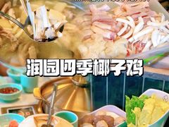 -润园四季椰子鸡火锅(南山海岸城店)