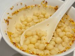 -洋洋中餐馆·SINCE 1997(信投店)