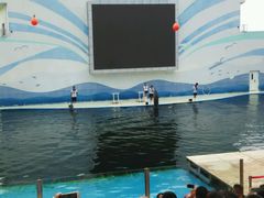 -北戴河圣蓝海洋公园