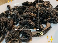 羊肚-宋记爆肚(酒仙桥店)