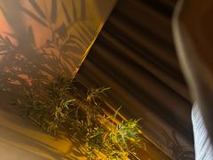 -宁采臣Sleep·采耳·SPA放松馆(湖里万达店)