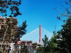 -丹东路渡口(轮渡站)