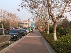 -山东外贸职业学院