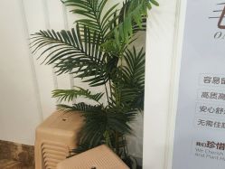 -顺德壹加壹美容医院