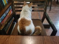 -啡萃咖啡店(铜锣湾店)