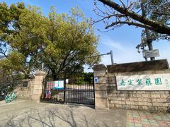-嘉定紫藤园