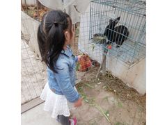 -小鱼草莓采摘园农家乐·小鱼餐厅