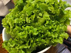 生菜-牛犇烤肉(物资学院路店)