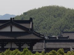 -大唐贡茶院