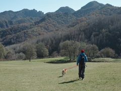-玉渡山自然风景区