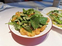 -阿五黄河大鲤鱼(纬三路店)