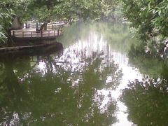 -晓港公园