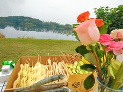 -中国天府农业博览园