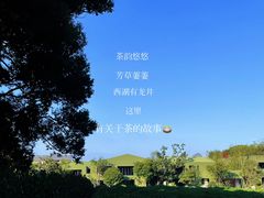 -中国茶叶博物馆(双峰馆区)