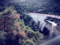 -大罗山风景区