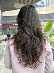 -Hair Code芭曲发型