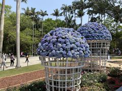 -深圳仙湖植物园