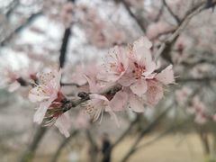 -太阳宫公园