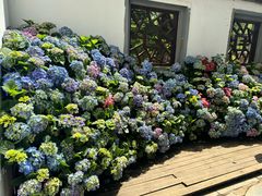 -沈阳植物园