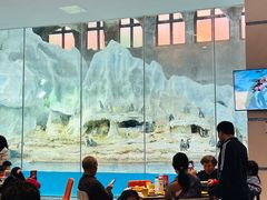 -帝企鹅自助餐厅•儿童岛•真企鹅(长隆企鹅酒店)