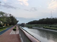 -福田红树林生态公园