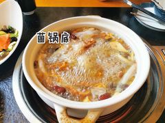 -阿鹏故事野生菌火锅(双廊古镇店)