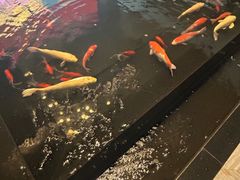 -大和洗浴休闲会所(宏大广场店)