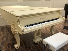 -知音艺术教育培训·钢琴培训·音乐培训(河西金鹰世界校区)