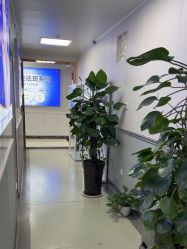 -成都军建医院·医疗整形