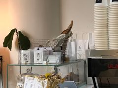 -常识咖啡common sense(春熙路店)