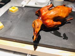 红烧乳鸽-大鸽饭(体育西路店)