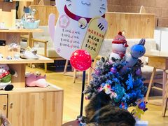 -藏猫猫咖啡主题馆(中央大道店)