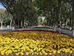 -上海鲜花港