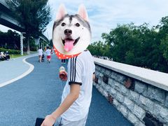 -宝安西湾红树林湿地公园