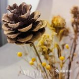 新晋宝藏小馆黑布林 BLACK BLEEM