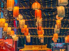 -越秀西湖花市(广州城市广场花卉店)