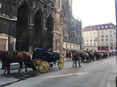 -斯蒂芬主教座堂(Stephansdom)