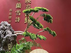 -米桃-吴韵风雅·拙园(北外滩来福士店)