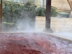 -春晖园度假酒店温泉