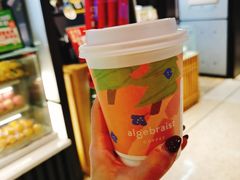 -代数学家algebraist(诚品店)