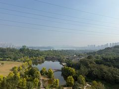 -张坝桂圆林公园